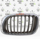 BMW X5 E53 FRONT BUMPER LEFT SIDE RADIATOR KIDNEY GRILL N/S 8247673