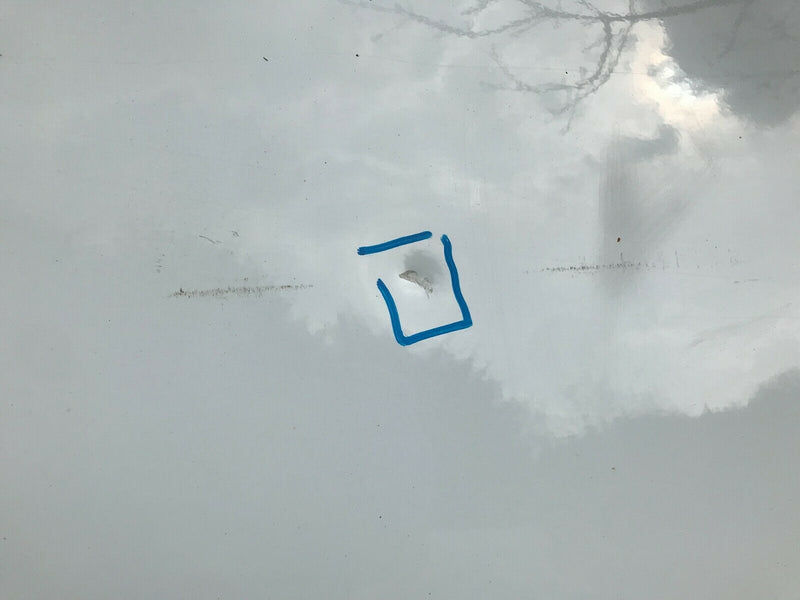 FORD TRANSIT CUSTOM 2013-2021 LEFT SIDE SLIDING SLIDE DOOR PANEL GENUINE