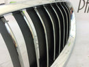 BMW F10 F11 FRONT BUMPER UPPER GRILL RADIATOR KIDNEY LEFT SIDE - 10 RIBS 7412323