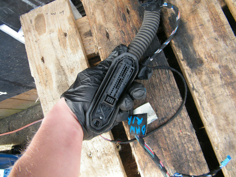 BMW 3 E90 E91 05-11 GENUINE WIRING LOOM HARNESS DOOR O/S  Rear Door Right Side