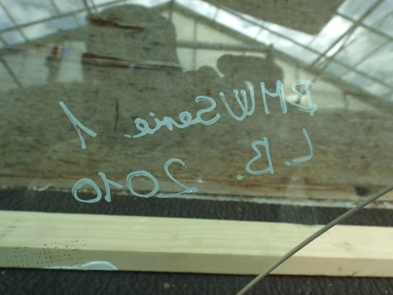 BMW 1 Series E87 2004-2011 Rear Door Window Glass Left Passenger Side N/S