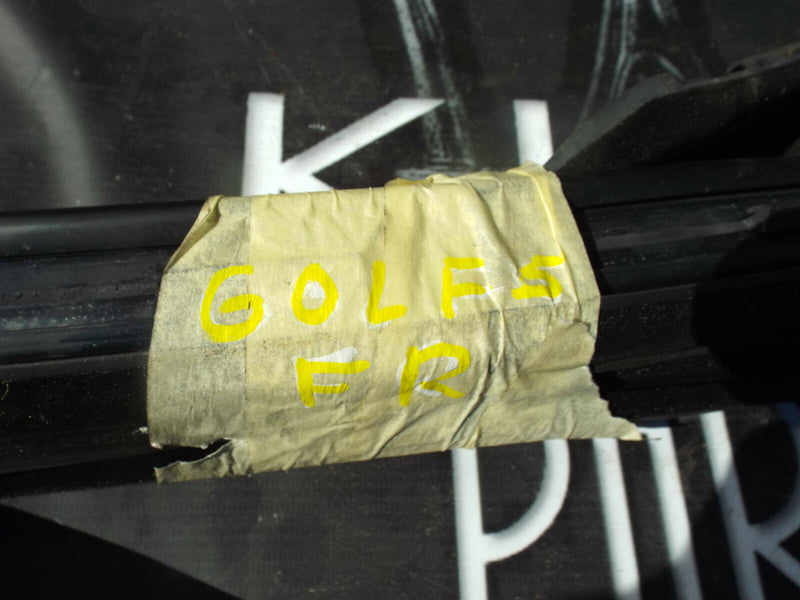 Golf V MK5 2003-2009 Genuine Front Door Rubber Full Set Right Driver Side O/S